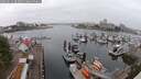 ./images/victoria/wharf/20250622/wharf20250622_083010M.jpg