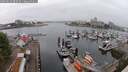 ./images/victoria/wharf/20250622/wharf20250622_083510M.jpg