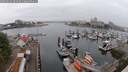 ./images/victoria/wharf/20250622/wharf20250622_084009M.jpg