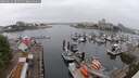 ./images/victoria/wharf/20250622/wharf20250622_084511M.jpg