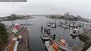 ./images/victoria/wharf/20250622/wharf20250622_085510M.jpg