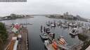 ./images/victoria/wharf/20250622/wharf20250622_090011M.jpg