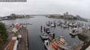 ./images/victoria/wharf/20250622/wharf20250622_090509M.jpg