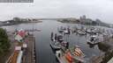 ./images/victoria/wharf/20250622/wharf20250622_091010M.jpg