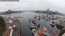 ./images/victoria/wharf/20250622/wharf20250622_091509M.jpg