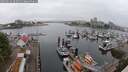 ./images/victoria/wharf/20250622/wharf20250622_092011M.jpg