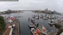 ./images/victoria/wharf/20250622/wharf20250622_092510M.jpg