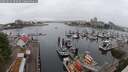 ./images/victoria/wharf/20250622/wharf20250622_093009M.jpg
