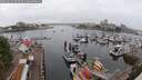 ./images/victoria/wharf/20250622/wharf20250622_093510M.jpg