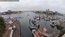 ./images/victoria/wharf/20250622/wharf20250622_094008M.jpg