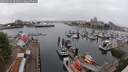 ./images/victoria/wharf/20250622/wharf20250622_094510M.jpg
