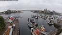 ./images/victoria/wharf/20250622/wharf20250622_095010M.jpg