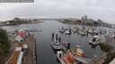 ./images/victoria/wharf/20250622/wharf20250622_095510M.jpg