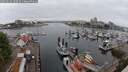 ./images/victoria/wharf/20250622/wharf20250622_100509M.jpg