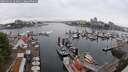 ./images/victoria/wharf/20250622/wharf20250622_103011M.jpg