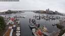 ./images/victoria/wharf/20250622/wharf20250622_103509M.jpg