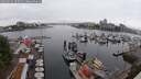 ./images/victoria/wharf/20250622/wharf20250622_105011M.jpg