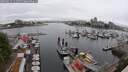 ./images/victoria/wharf/20250622/wharf20250622_111510M.jpg