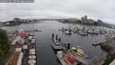 ./images/victoria/wharf/20250622/wharf20250622_112509M.jpg