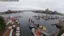 ./images/victoria/wharf/20250622/wharf20250622_113012M.jpg