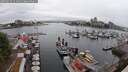 ./images/victoria/wharf/20250622/wharf20250622_114011M.jpg
