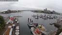 ./images/victoria/wharf/20250622/wharf20250622_114511M.jpg