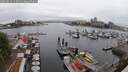 ./images/victoria/wharf/20250622/wharf20250622_115010M.jpg