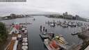 ./images/victoria/wharf/20250622/wharf20250622_115509M.jpg