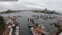 ./images/victoria/wharf/20250622/wharf20250622_121011M.jpg
