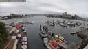 ./images/victoria/wharf/20250622/wharf20250622_121511M.jpg