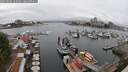 ./images/victoria/wharf/20250622/wharf20250622_122510M.jpg