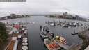 ./images/victoria/wharf/20250622/wharf20250622_123509M.jpg