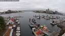 ./images/victoria/wharf/20250622/wharf20250622_131009M.jpg