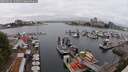 ./images/victoria/wharf/20250622/wharf20250622_132510M.jpg