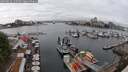 ./images/victoria/wharf/20250622/wharf20250622_142508M.jpg