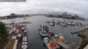 ./images/victoria/wharf/20250622/wharf20250622_150012M.jpg