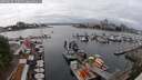 ./images/victoria/wharf/20250622/wharf20250622_150509M.jpg