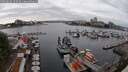 ./images/victoria/wharf/20250622/wharf20250622_155510M.jpg