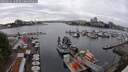 ./images/victoria/wharf/20250622/wharf20250622_160509M.jpg