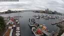 ./images/victoria/wharf/20250622/wharf20250622_164011M.jpg