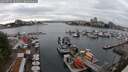./images/victoria/wharf/20250622/wharf20250622_164511M.jpg