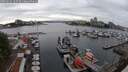 ./images/victoria/wharf/20250622/wharf20250622_165510M.jpg