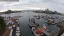 ./images/victoria/wharf/20250622/wharf20250622_170511M.jpg