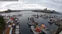 ./images/victoria/wharf/20250622/wharf20250622_173510M.jpg