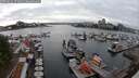 ./images/victoria/wharf/20250622/wharf20250622_174010M.jpg