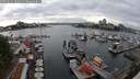 ./images/victoria/wharf/20250622/wharf20250622_180011M.jpg