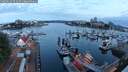 ./images/victoria/wharf/20250623/wharf20250623_051008M.jpg