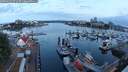 ./images/victoria/wharf/20250623/wharf20250623_051508M.jpg
