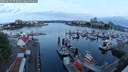 ./images/victoria/wharf/20250623/wharf20250623_052009M.jpg