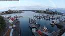 ./images/victoria/wharf/20250623/wharf20250623_053507M.jpg